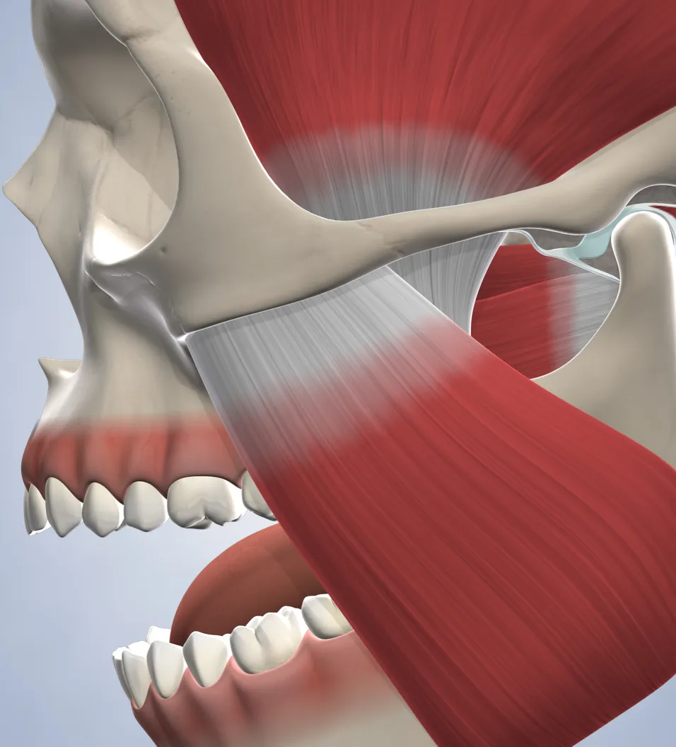 TMJ treatment in Walnut Creek, CA